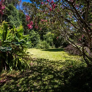 tranquil-rainforest-studio-kuranda.queenslandhotels.net/